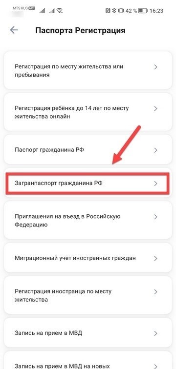 Как оформить зарубежный паспорт с помощью государственных услуг?