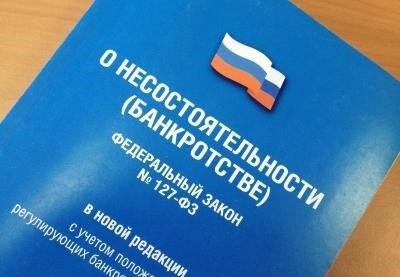 Гарантии для трудовых прав работников при возникновении финансовой неплатежеспособности организации