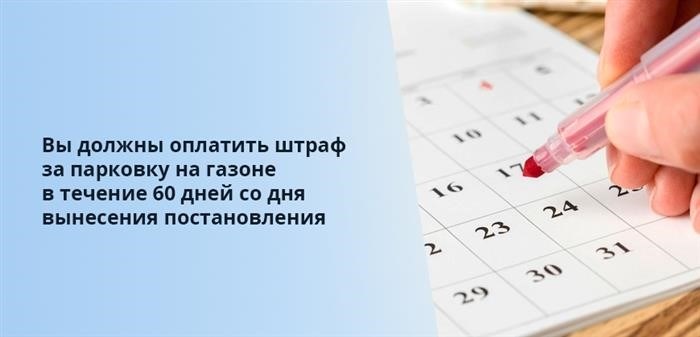 Вам необходимо внести плату за правонарушение парковки на газоне в течение 60 дней с момента вынесения решения.