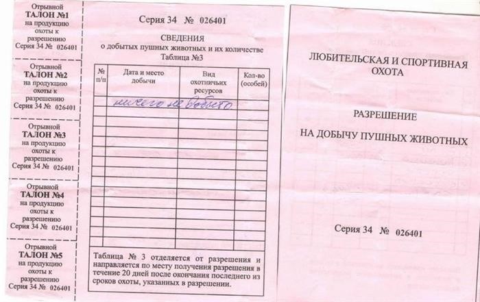 Получение разрешения на охоту через официальный портал государственных услуг.