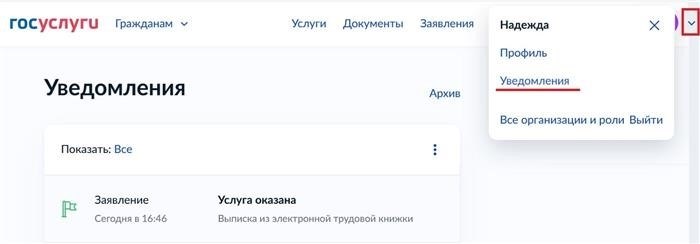 система уведомлений на портале госуслуг