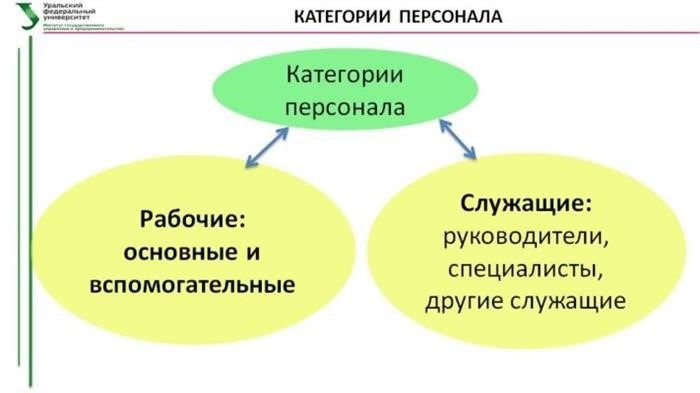 Руководитель и главный эксперт: что представляет собой, объяснение, каковы отличия и кто имеет более высокий статус.